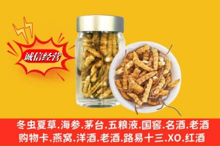 银川贺兰县回收散虫草